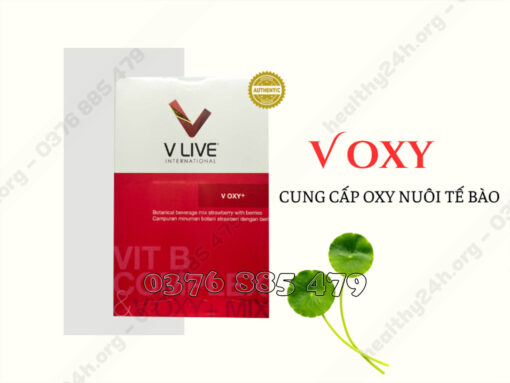 Voxy là gì Nguyên Phương (Healthy24h)