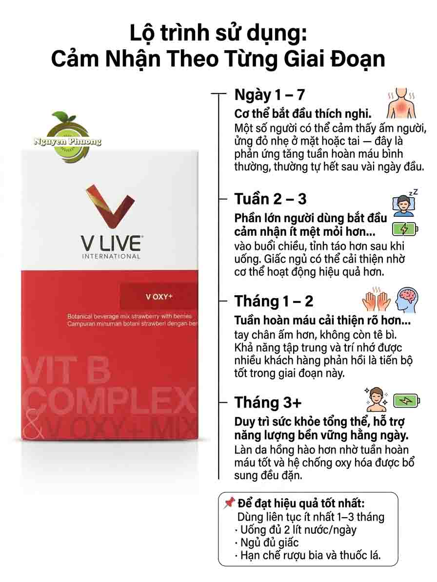 lộ trinh sử dụng v oxy
