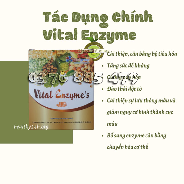 tác dụng của vital enzyme có tốt không
