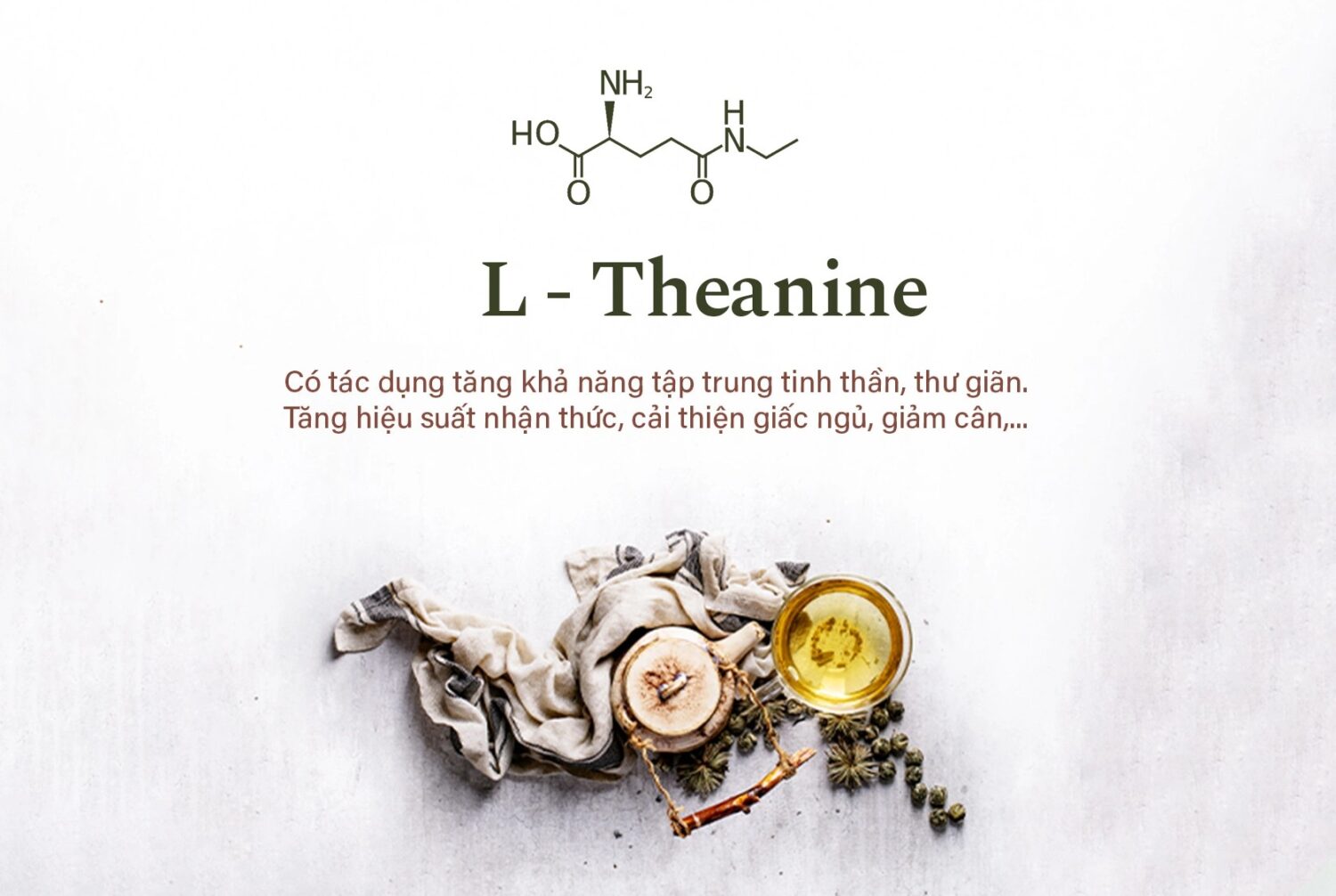 L-Theanine là một hoạt chất cải thiện giấc ngủ có nhiều trong trà xanh