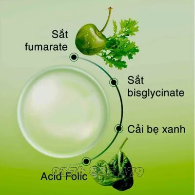 Thành phần của Nutrilite Iron Folic - Nguyên Phương (Healthy24h