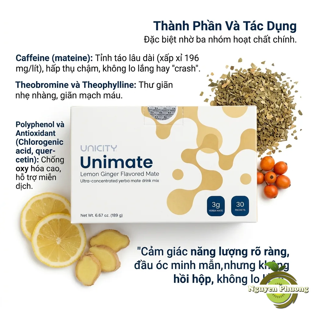 trà yerba mate