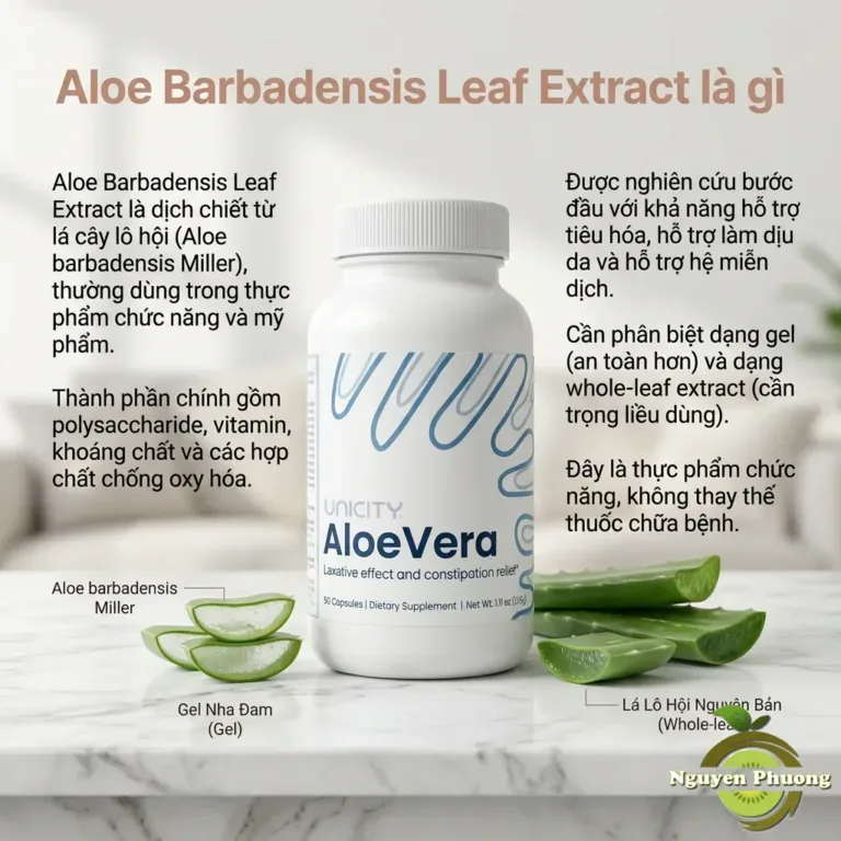 Aloe Barbadensis Leaf Extract là gì