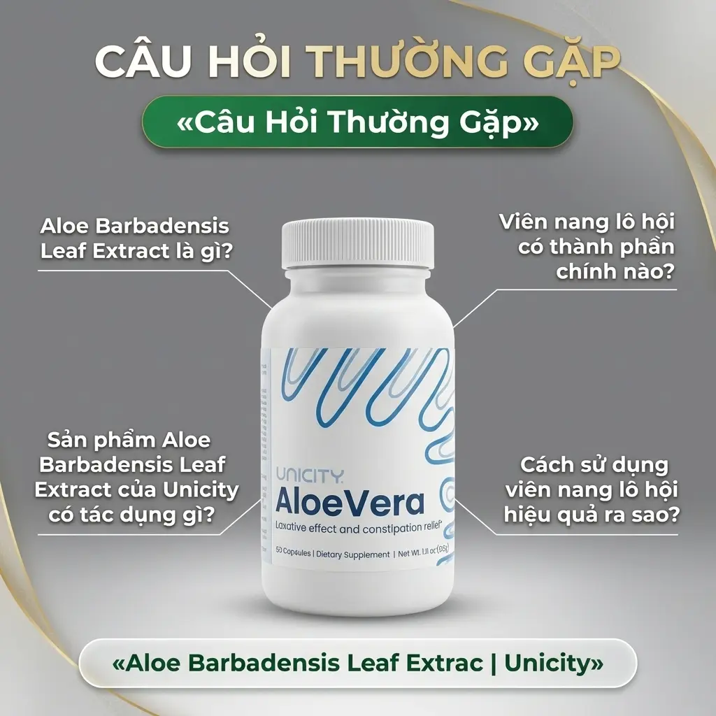 Câu Hỏi Thường Gặp