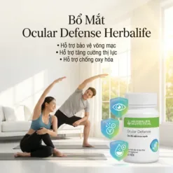 Đối tượng sử dụng Bổ Mắt Ocular Defense Herbalife — người lao động văn phòng, người cao tuổi, học sinh | nguyenphuonghealthy24h