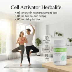 Đối tượng sử dụng Cell Activator Herbalife - người Việt Nam bận rộn và năng động | nguyenphuonghealthy24h