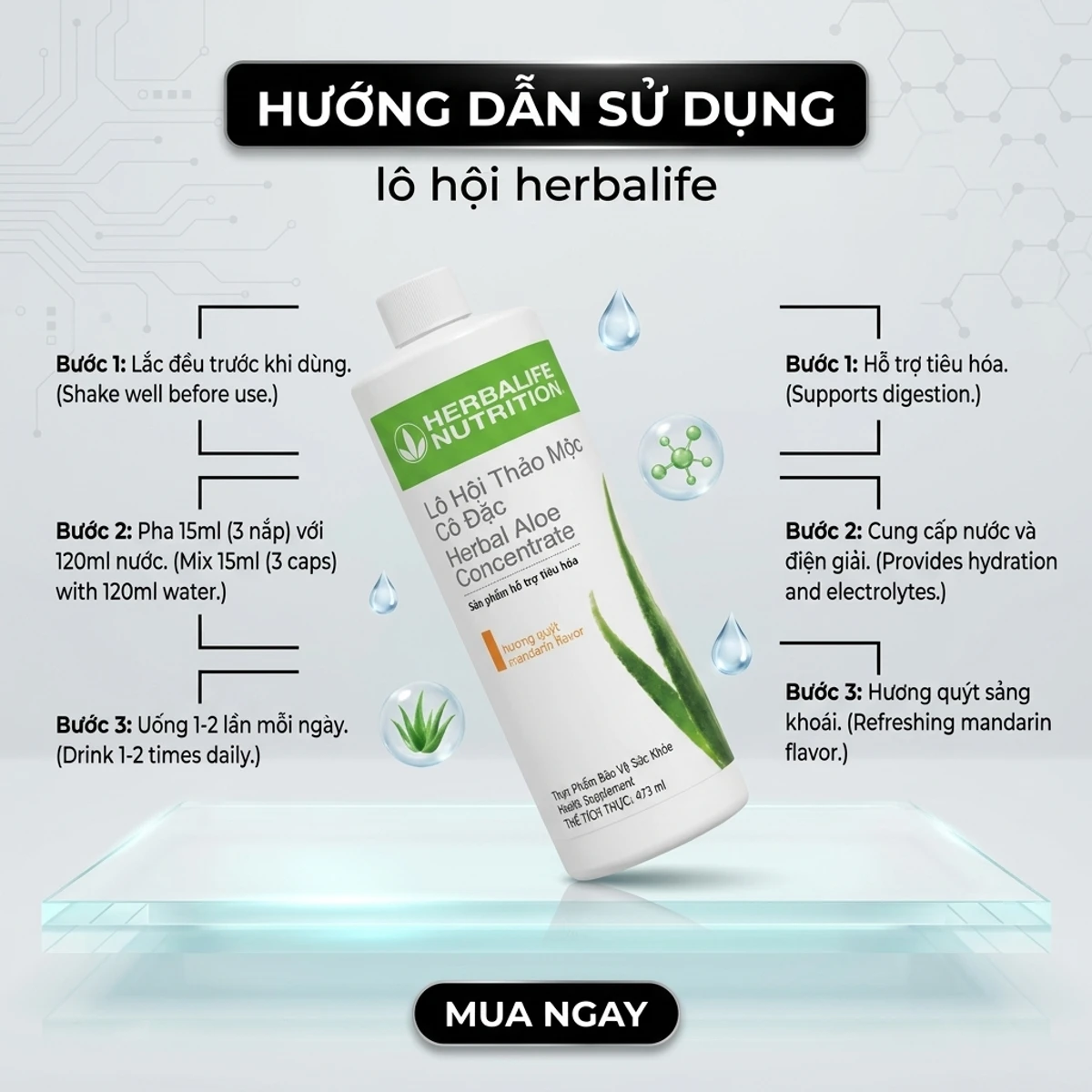 hướng dẫn sử dụng lô hội herbalife - cách pha và uống nha đam Herbalife đúng cách buổi sáng | nguyenphuonghealthy24h