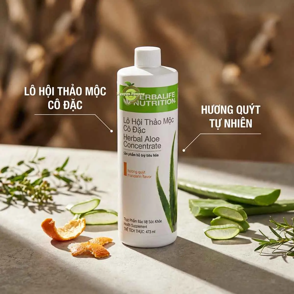 lo hoi herbalife
