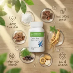 tác dụng prelox herbalife - hỗ trợ sức khỏe và năng lượng nam giới Việt Nam