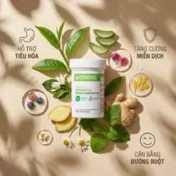Tác dụng Simply Probiotic Herbalife - phụ nữ Việt Nam khỏe mạnh hệ tiêu hóa tốt | nguyenphuonghealthy24h