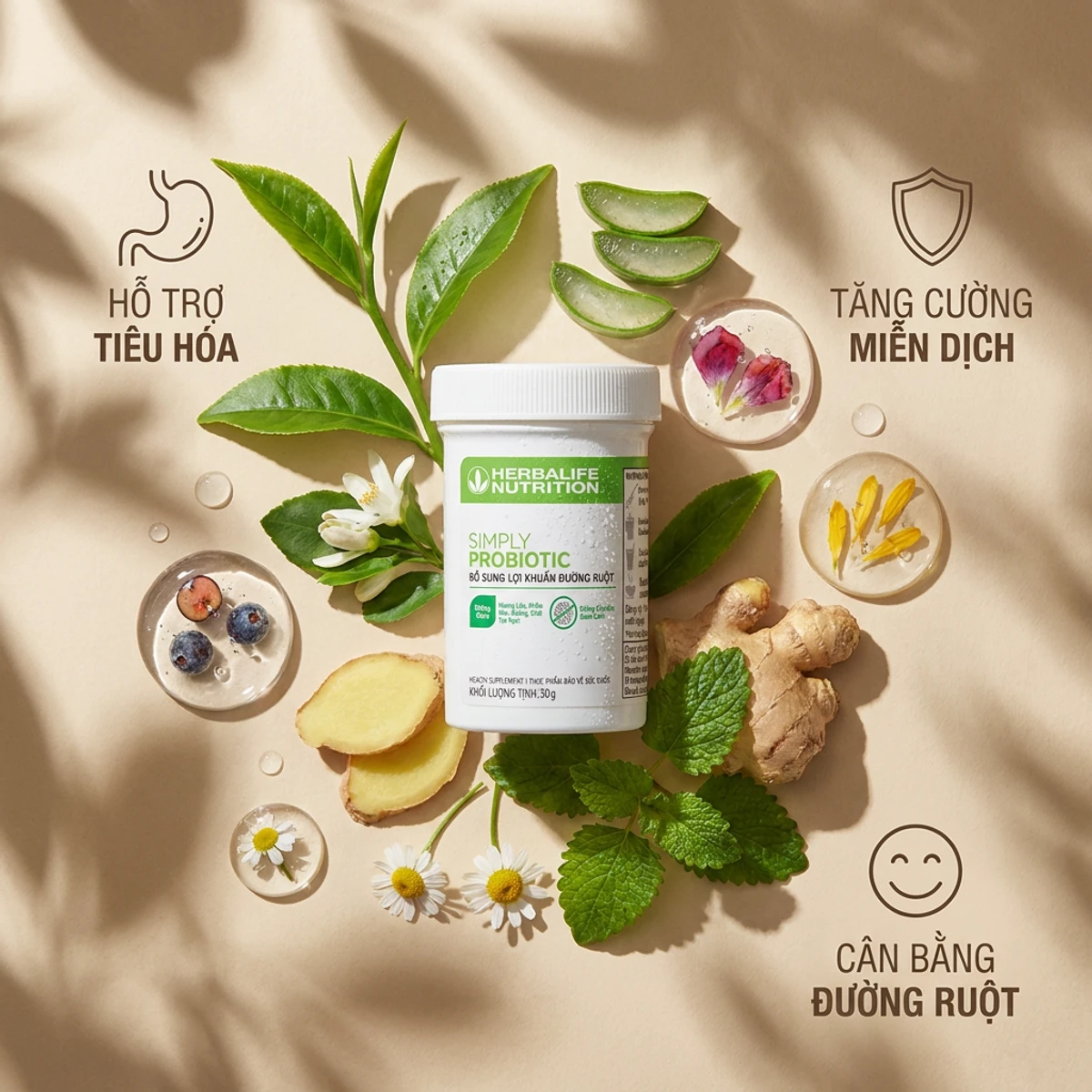 Tác dụng Simply Probiotic Herbalife - phụ nữ Việt Nam khỏe mạnh hệ tiêu hóa tốt | nguyenphuonghealthy24h