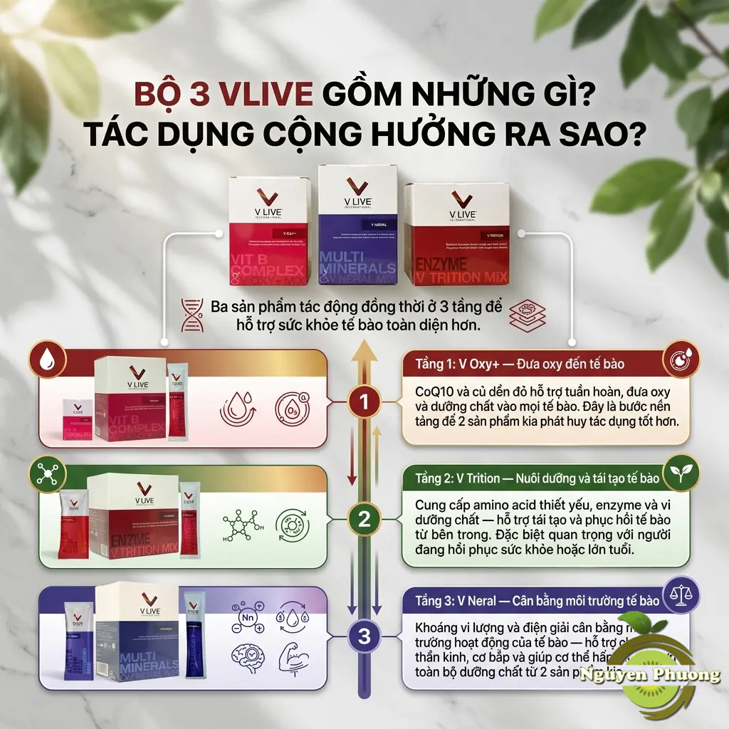 bộ 3 vlive gồm những gì 