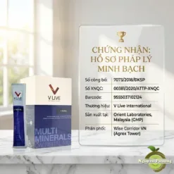 giấy chứng nhận v neral vlive