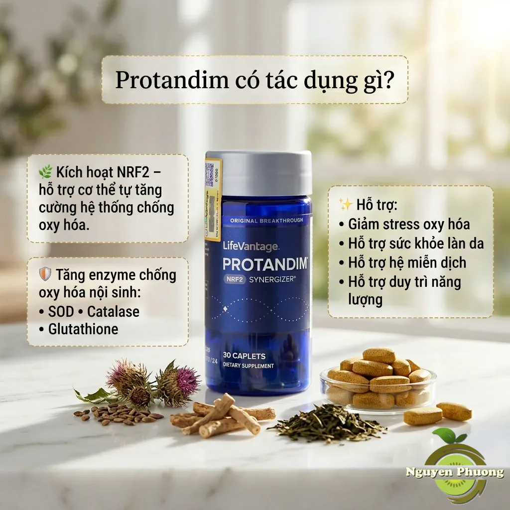 Protandim Có Tác Dụng Gì? Đánh Giá Thực Tế Từ Cơ Chế NRF2 Đến Bằng Chứng Khoa Học