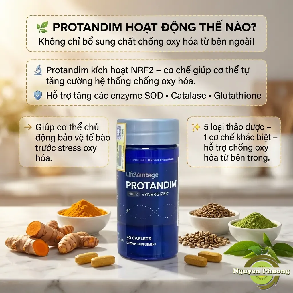 Protandim Hoạt Động Theo Cơ Chế Nào