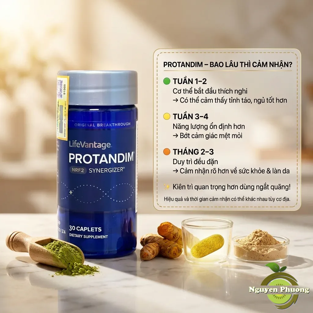 Protandim Uống Bao Lâu Thì Có Tác Dụng? Lộ Trình Thực Tế Theo Từng Giai Đoạn