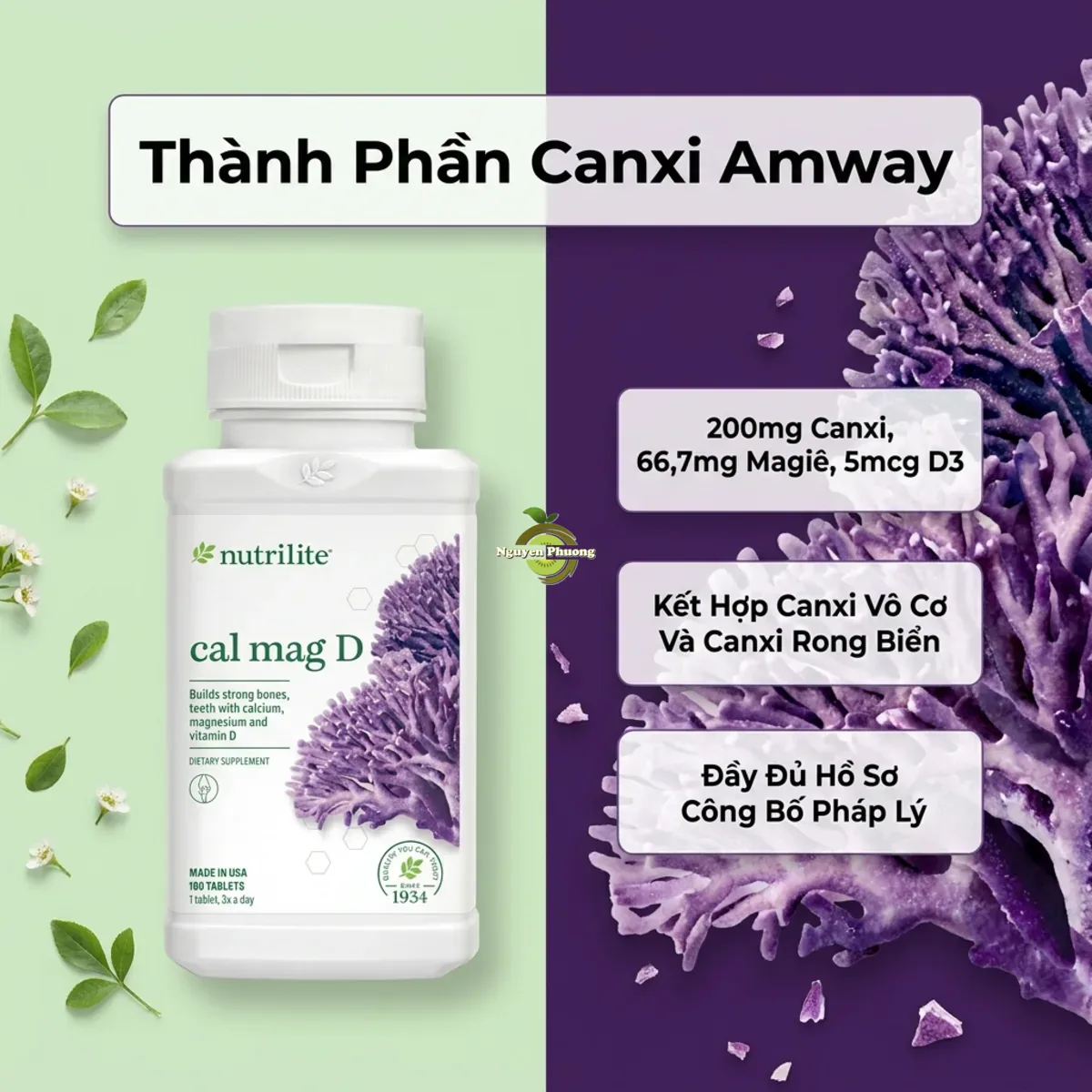 Thành phần và hồ sơ pháp lý của Canxi Amway