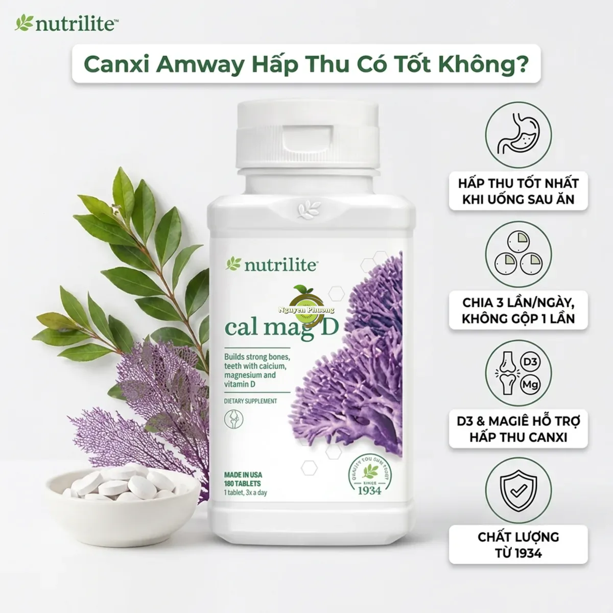 Canxi Amway có mức độ hấp thu tốt không