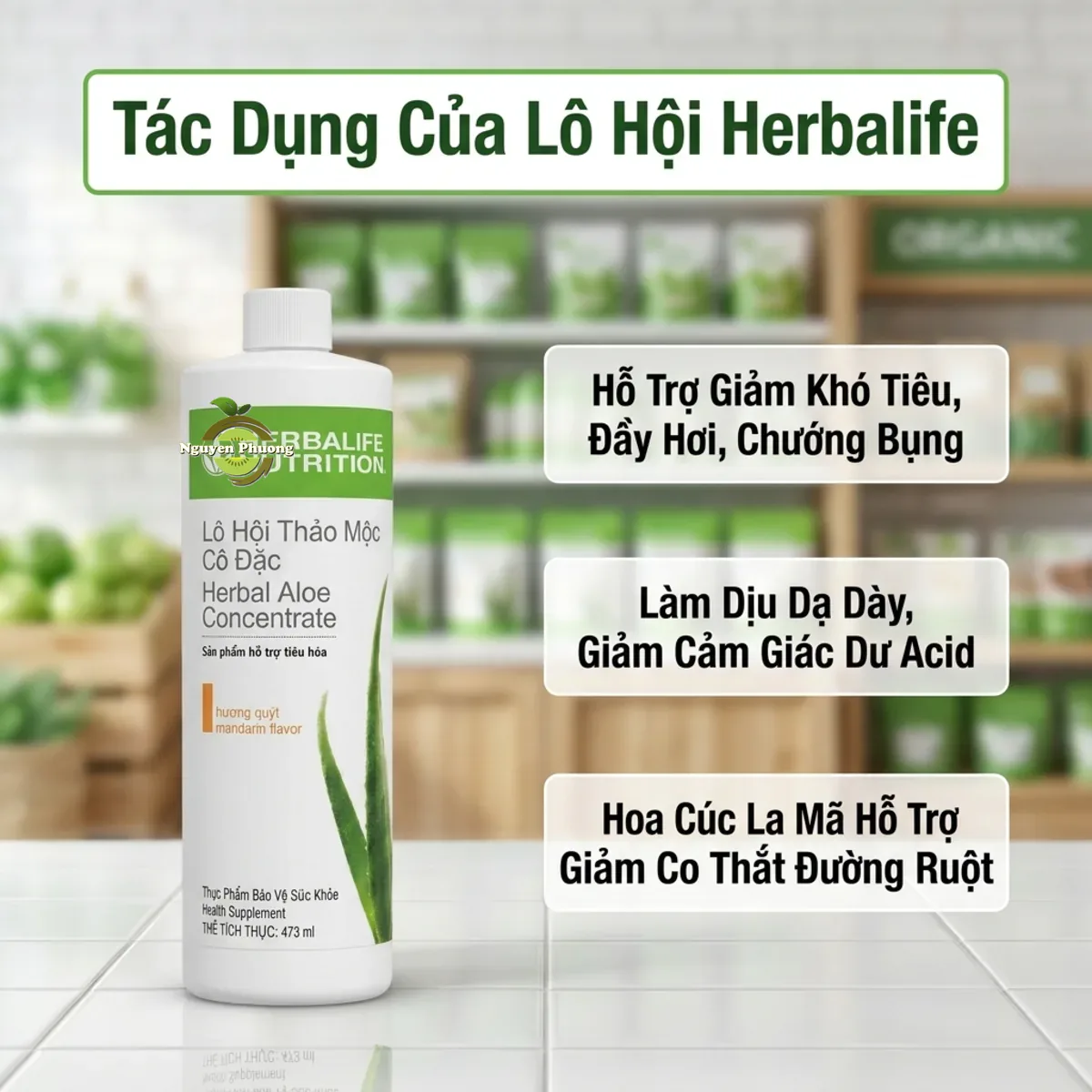 Các tác dụng chính của Lô Hội Herbalife đối với hệ tiêu hóa