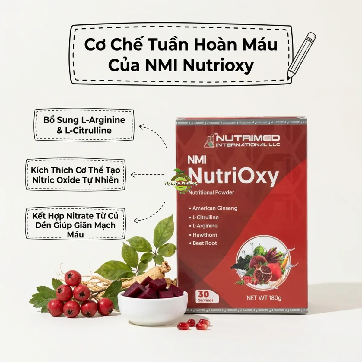 Cơ chế tổng hợp Nitric Oxide giúp NMI Nutrioxy hỗ trợ tuần hoàn máu