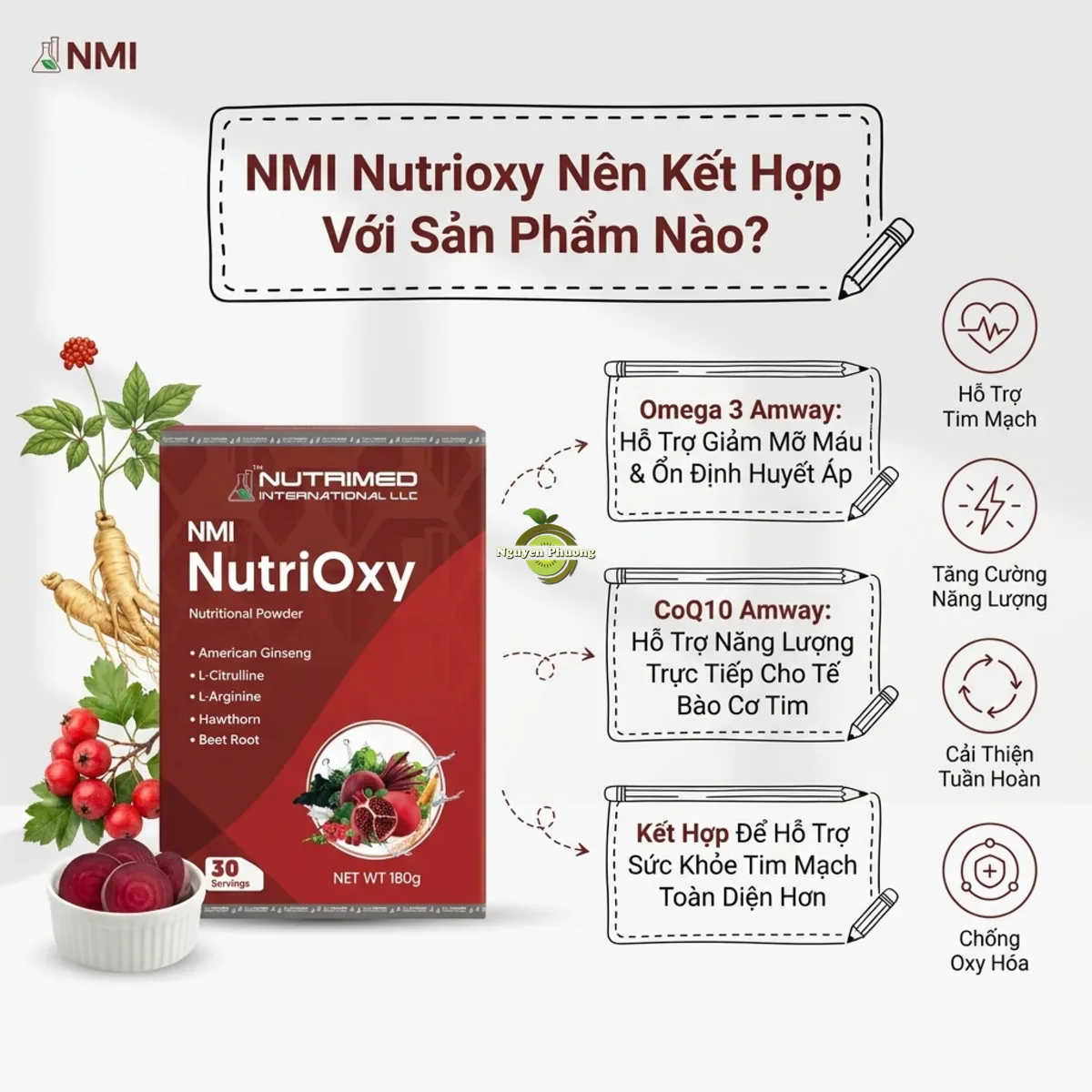 Gợi ý kết hợp NMI Nutrioxy với Omega 3 và CoQ10