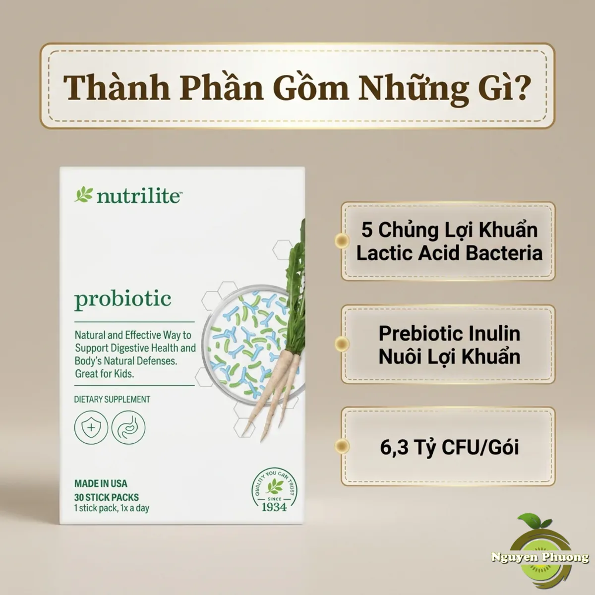 Thành phần Nutrilite Probiotic - 5 chủng lợi khuẩn và prebiotic Inulin