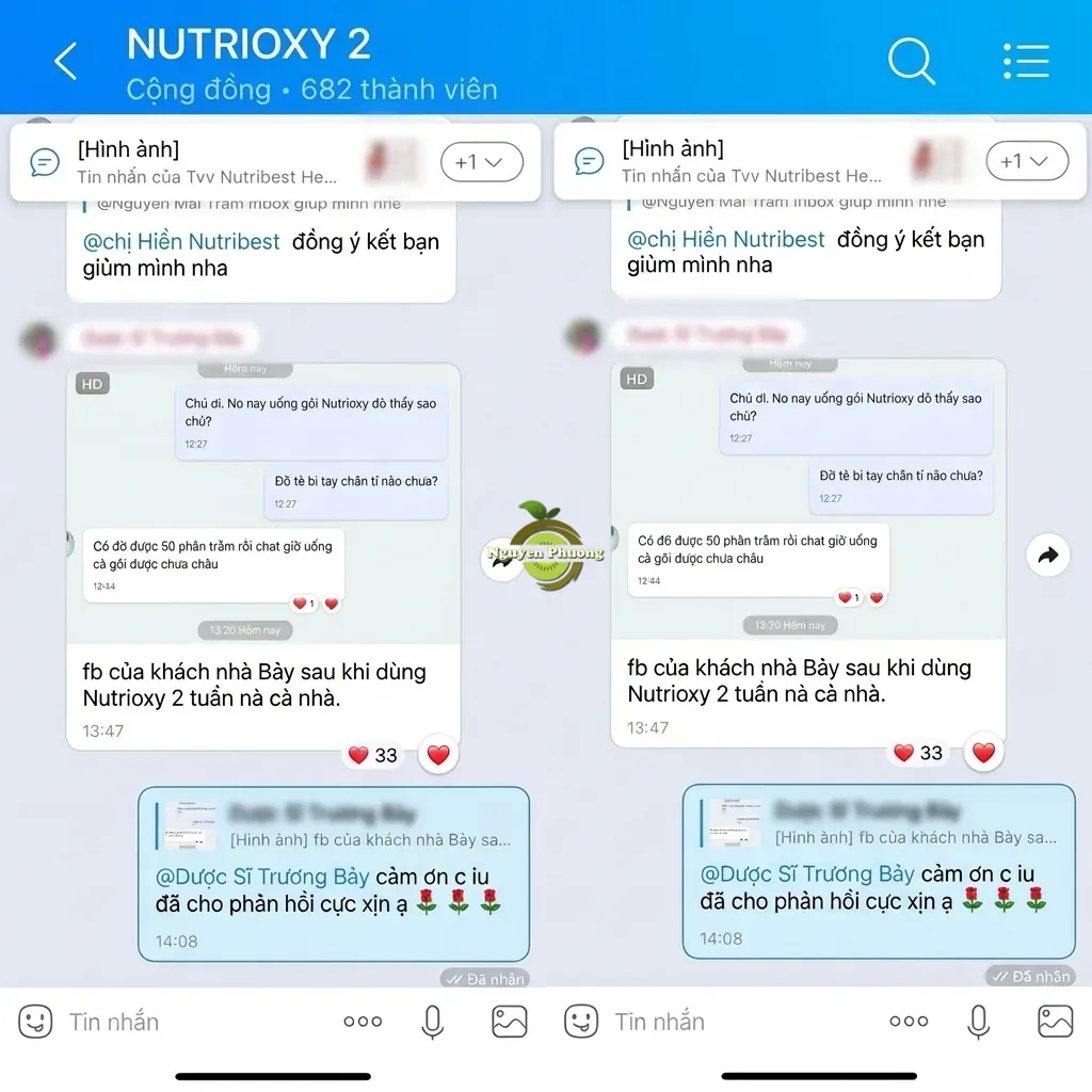 review nutrioxy 5