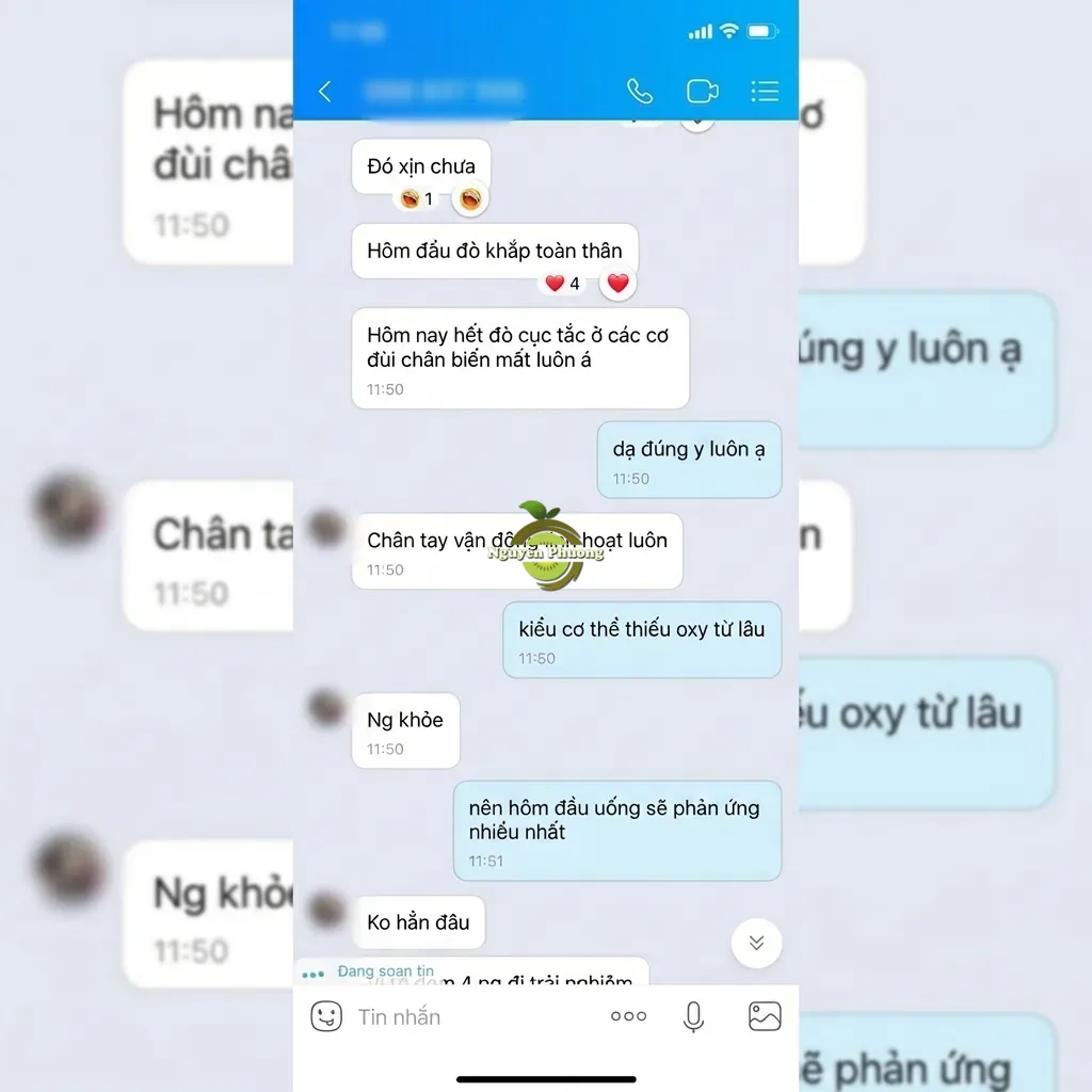 review nutrioxy 6